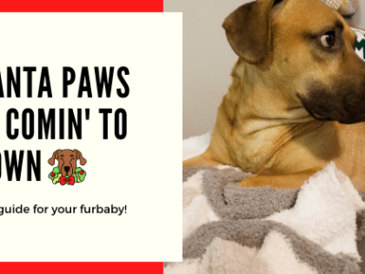 Santa Paws Is Coming to&nbsp;Town